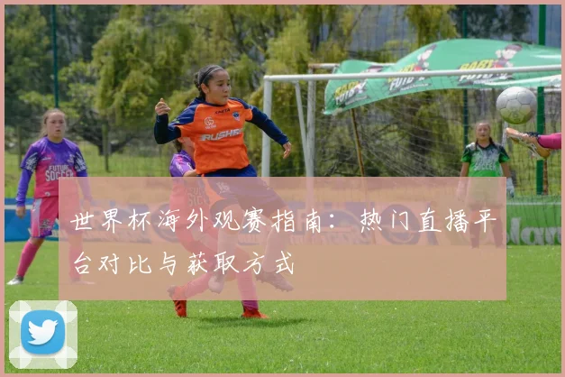 世界杯海外观赛指南:热门直播平台对比与获取方式