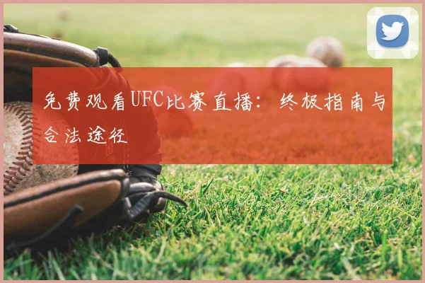 免费观看UFC比赛直播：终极指南与合法途径