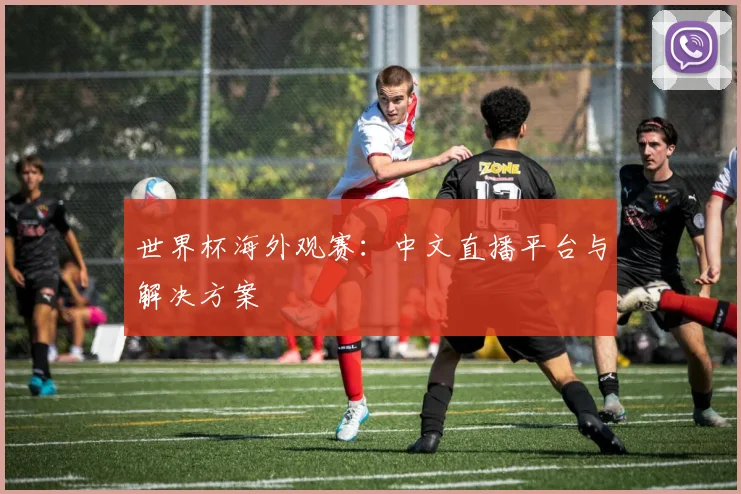 世界杯海外观赛:中文直播平台与解决方案