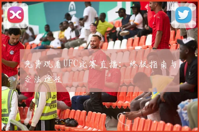 免费观看UFC比赛直播：终极指南与合法途径